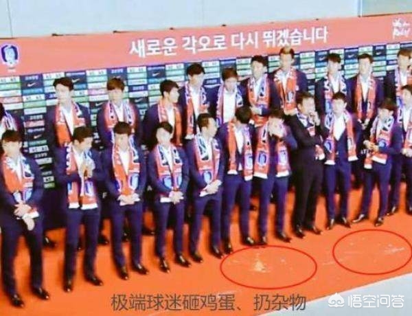 鸡蛋事件男子道歉,韩国队击败德国后，回国集体鞠躬道歉却仍遭球迷扔鸡蛋，对此你怎么看？