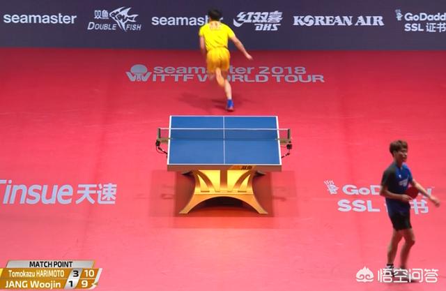 张本智和脱衣庆祝,孙颖莎与张本智和拥抱是真的吗？