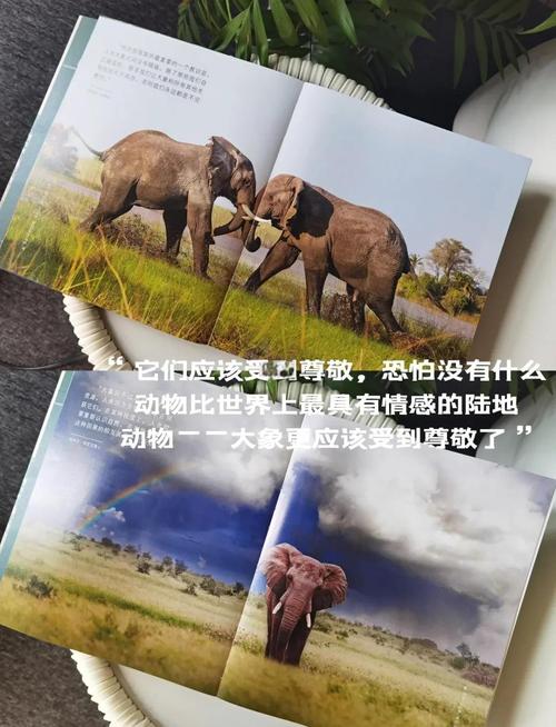 第14个世界大象日,第10个世界大象日