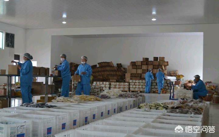 淘宝第1个程序员离职,淘宝第1个程序员离职怎么办