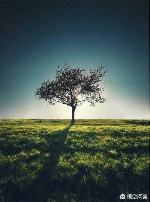 女子36岁成外婆,女子36岁成外婆了吗