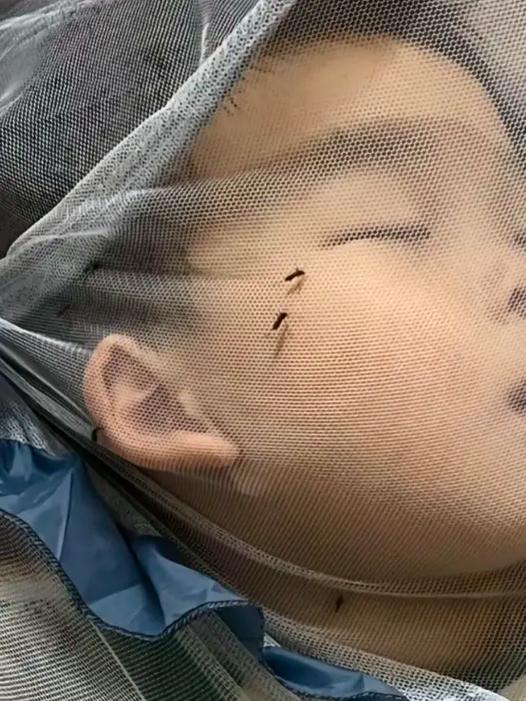 三亚一酒店虫子成群,住酒店被蚊子咬了酒店怎么处理?