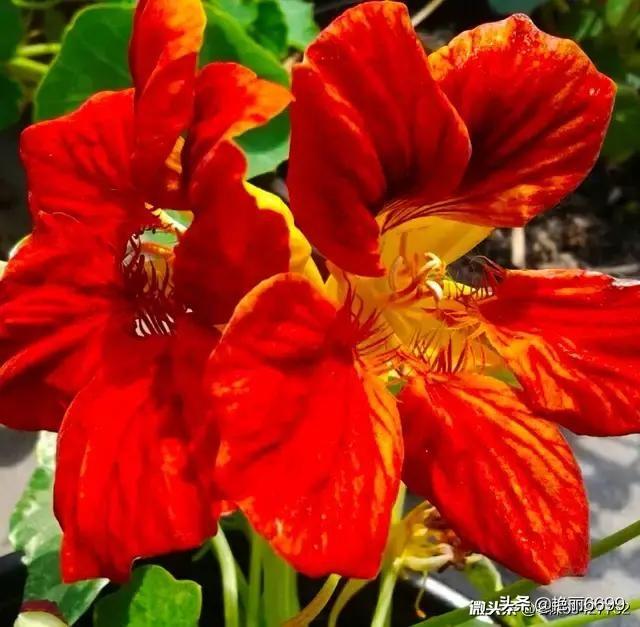 被杀女生亲属睡不着,因5万彩礼没谈拢，江苏一男子竟愤而将女友及其亲属6人杀害，谁来点评一下？