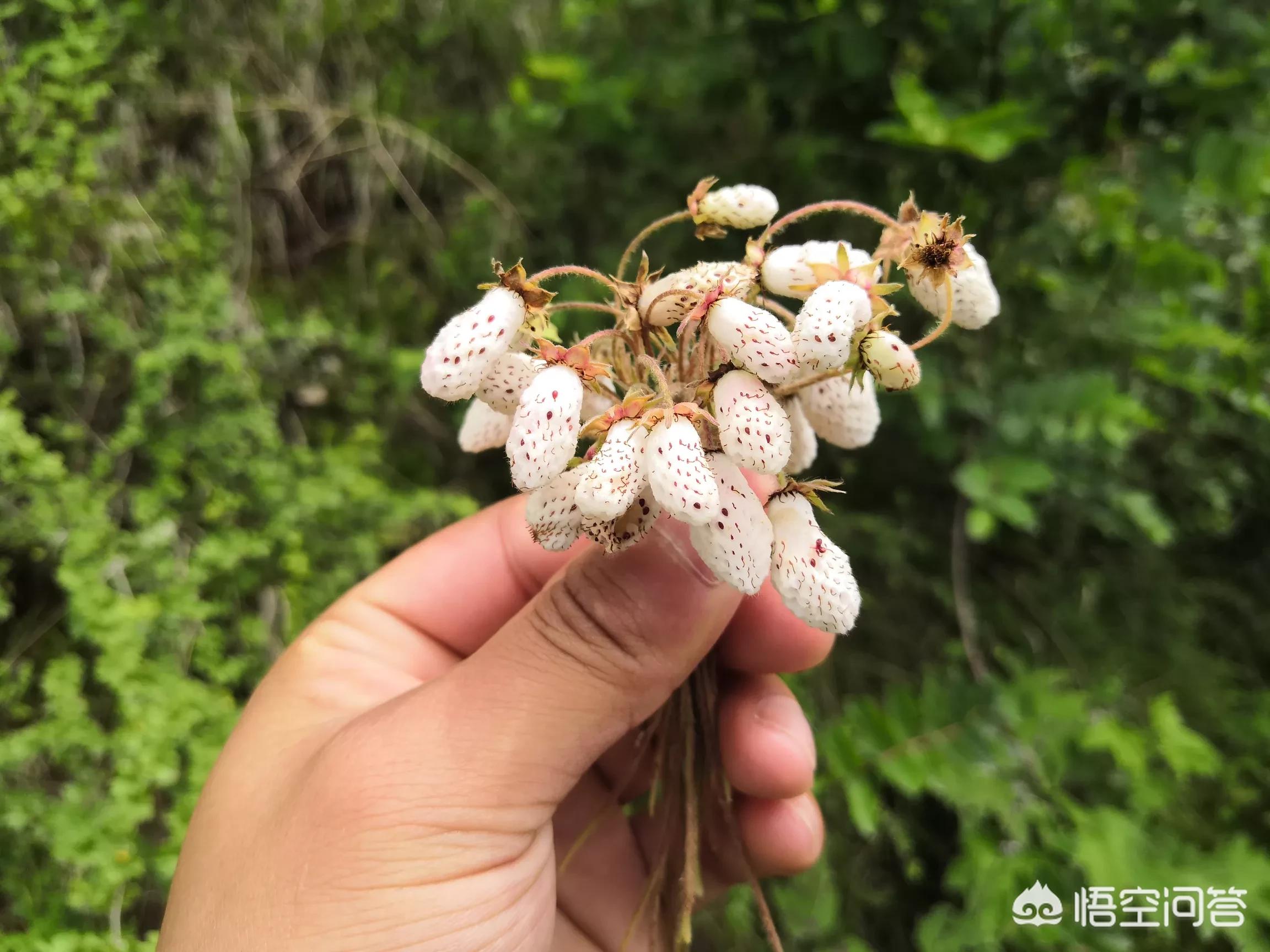 恶意拨打110被判,西和县一男子酒后滋事并多次恶意拨打110报警电话被拘留8天, 你怎么看？