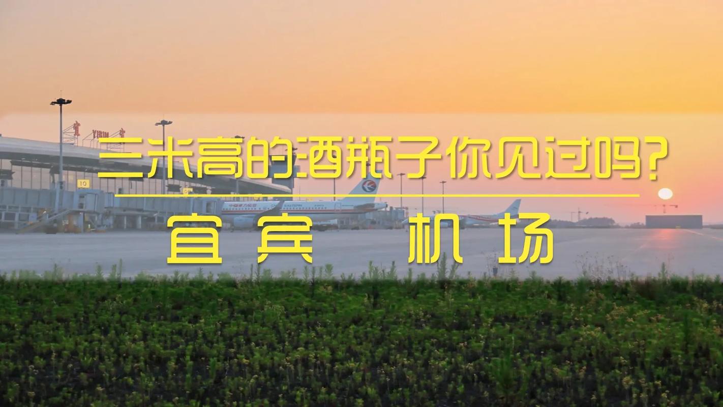 高铁站喝一瓶五粮液,宜宾机场大巴最新时刻表查询?