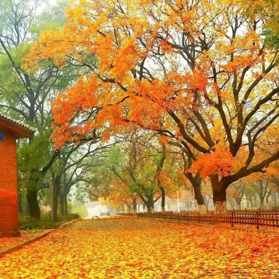 中国载人登月新突破,我国争取在2030年实现载人登月，还需要做那些步骤的登月实验，请说说你有什么看法？