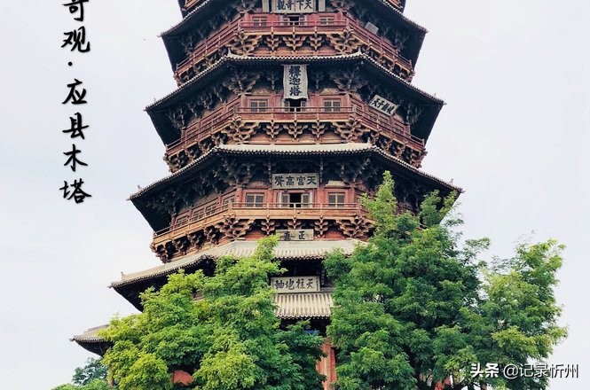 续面事件顾客花140元,山西省朔州市应县？