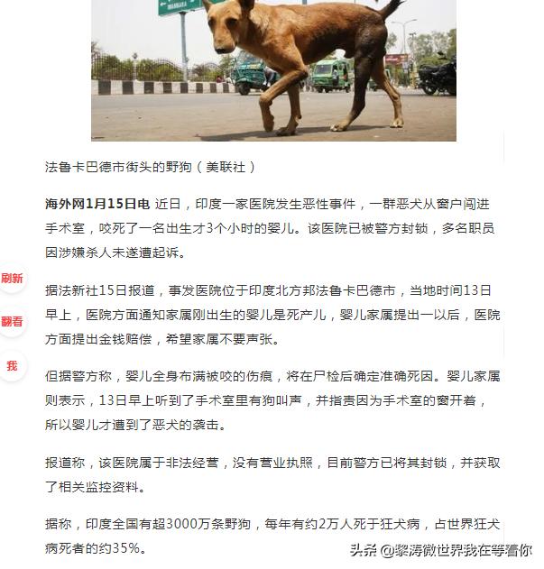 一女童被大型犬咬伤,商洛8岁女童被宠物狗咬伤，官方：积极调查处理，你怎么看？