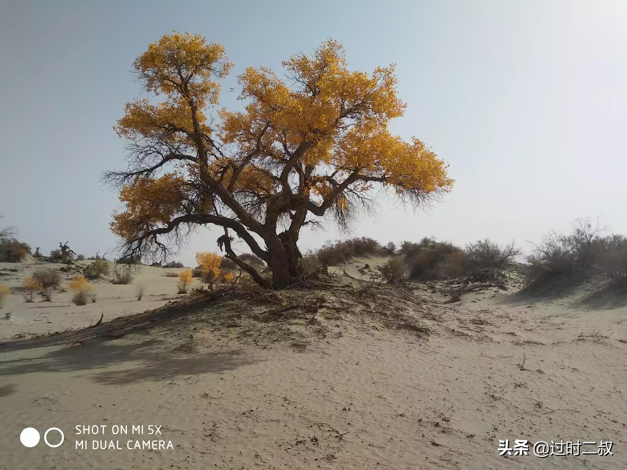 进店抢走老人两条烟,进店抢走老人两条烟犯法吗