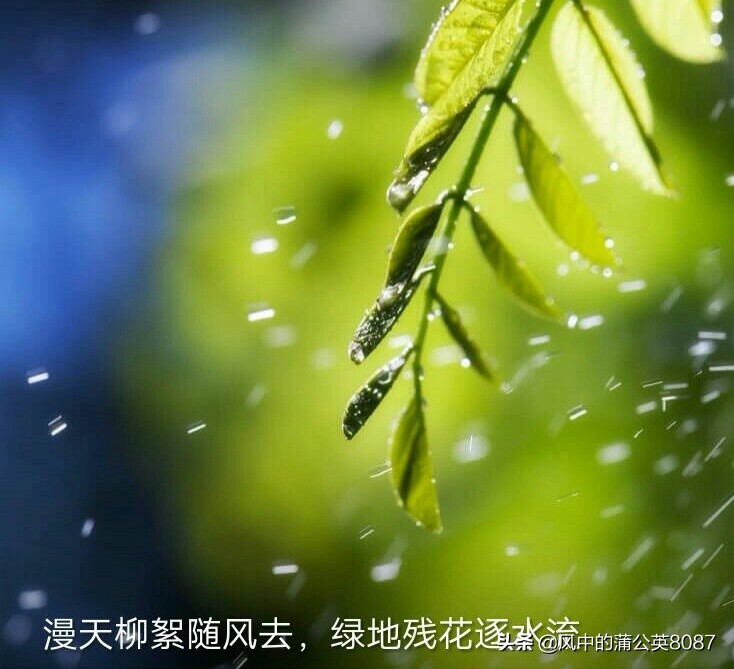 杀妻后欲购冰柜藏尸,上海杀妻冰柜藏尸案:嫌犯被认定预谋杀人,曾网购《死亡解剖台》,作案手法与书中雷同,岳母庭上大喊人渣,你怎么看? 杀妻后欲购冰柜藏尸,上海杀妻冰柜藏尸案:嫌犯被认定预谋杀人,曾网购《死亡解剖台》,作案手法与书中雷同,岳母庭上大喊人渣,你怎么看?