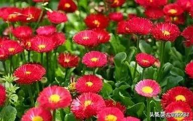 教唆女儿偷东西被拘,丈母娘教唆女儿记着婆家人说的不顺耳话不利的事情女儿能记几十年？