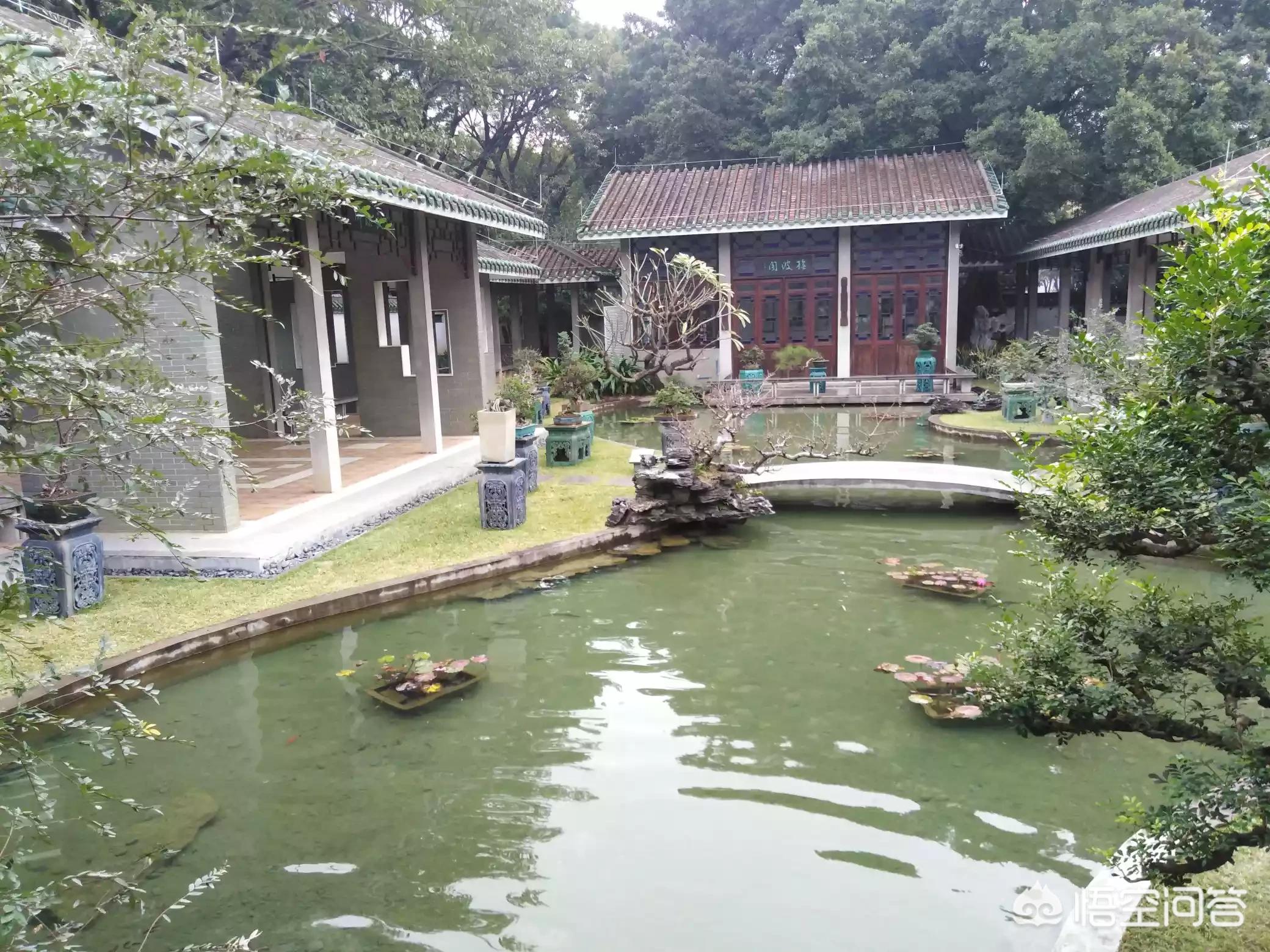 卖掉男友后安排旅游,卖掉男朋友