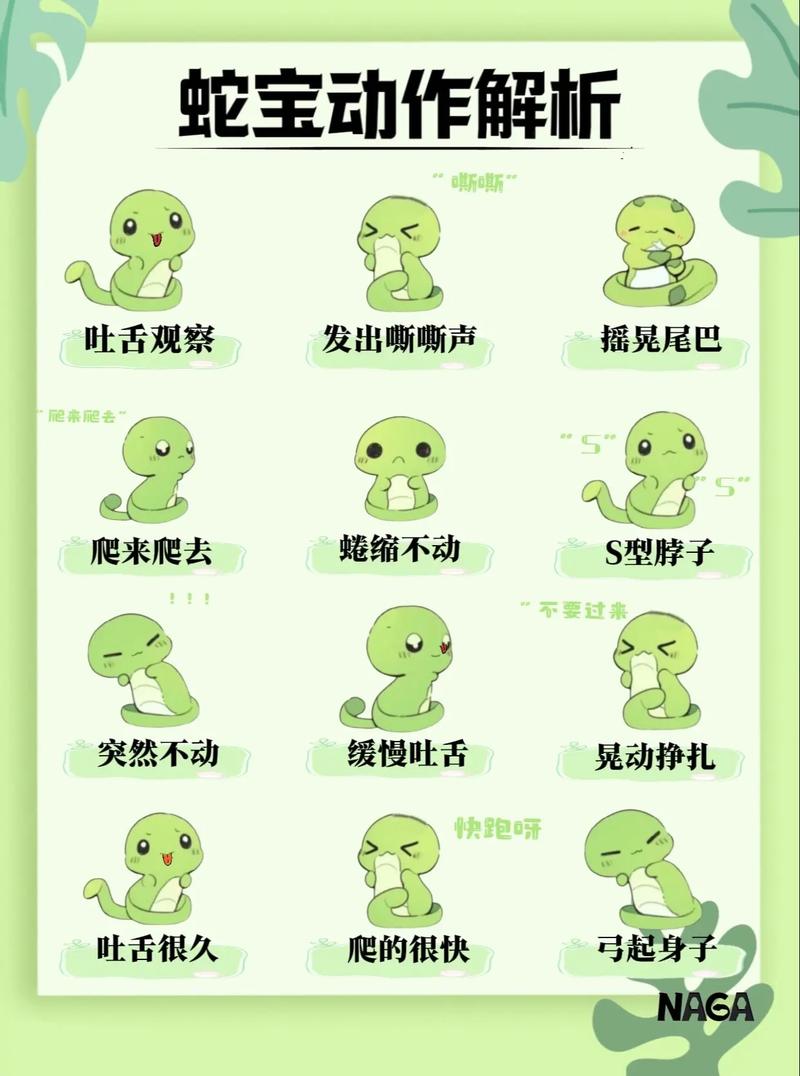 旅游回家客厅爬满蛇,旅游回家客厅爬满蛇什么意思