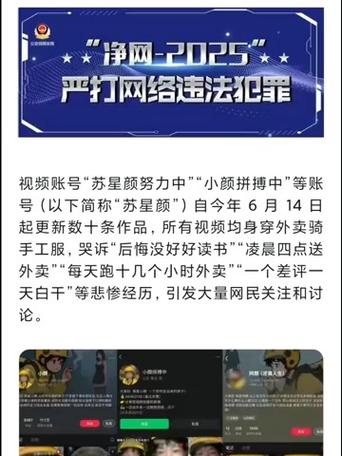 净网:严打违规广告,广告净网大师