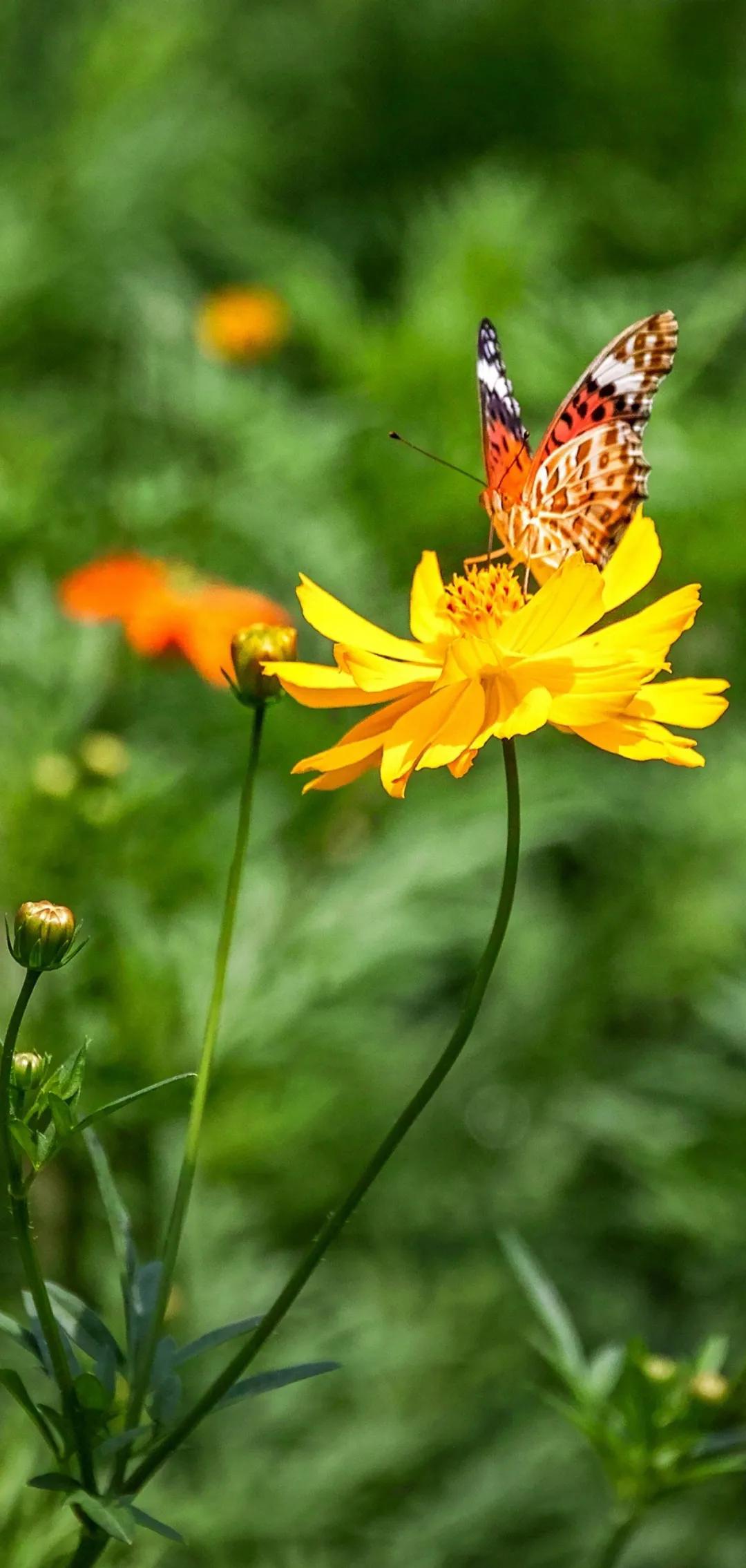 误诊绝症服药3个月,我大伯被医院误诊为癌症,一夜急白了头。怎么维权? 误诊绝症服药3个月,我大伯被医院误诊为癌症,一夜急白了头。怎么维权?
