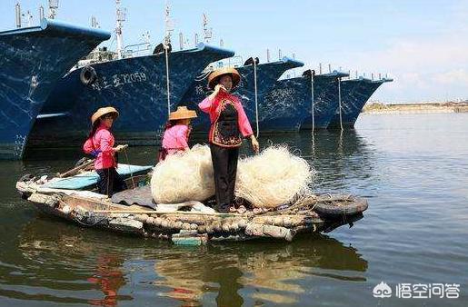 渔民被海鲜刺伤身亡,海陵岛码头有渔民卖海鲜的吗？
