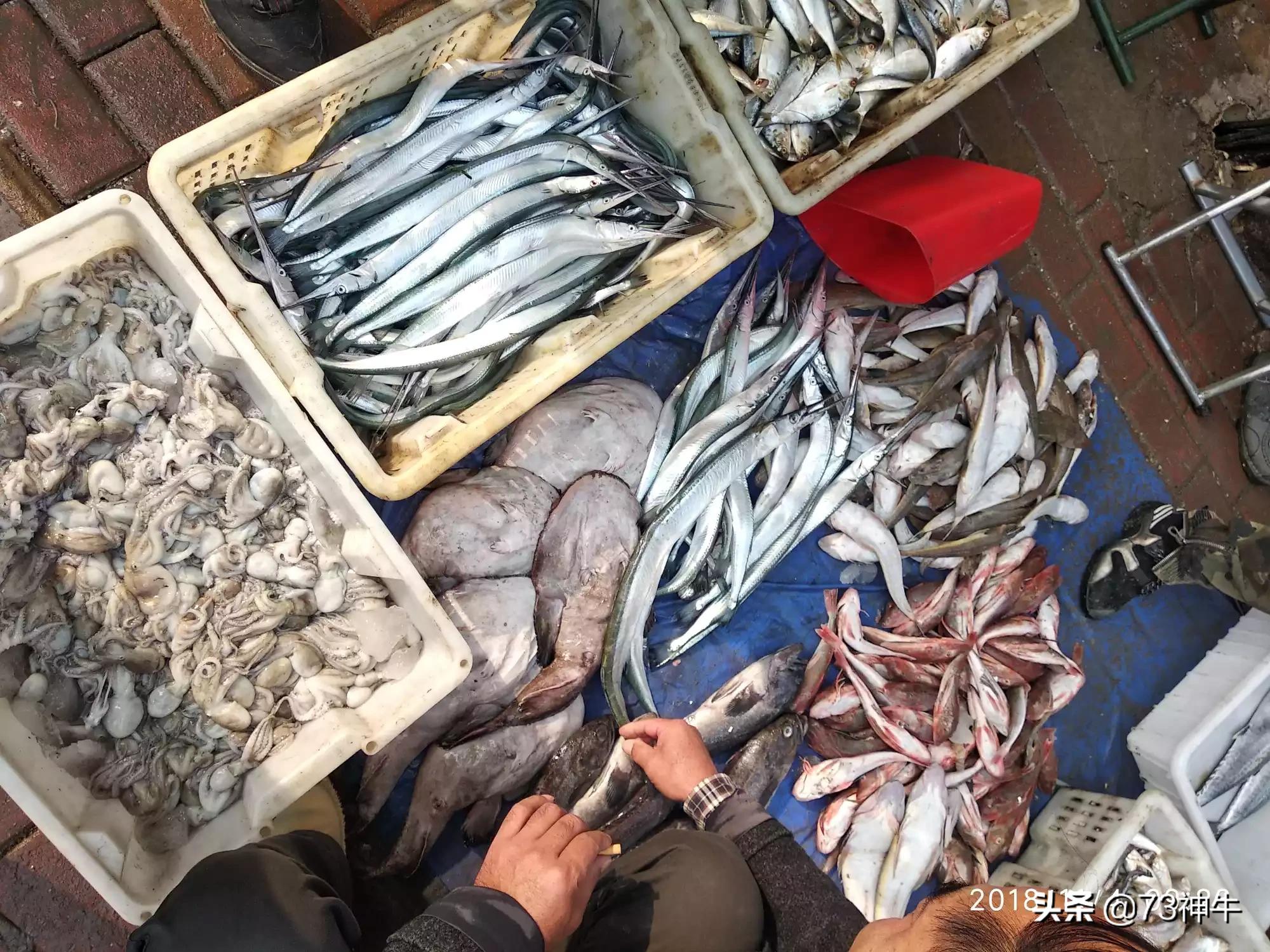 渔民被海鲜刺伤身亡,渔民生吃海鲜有寄生虫吗？