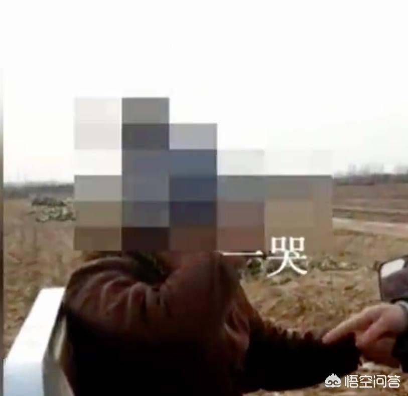 女子半夜偷菜赔2千,保定一老太太偷菜被抓跪地求饶，菜地主人要1000元赔偿，你怎么看？