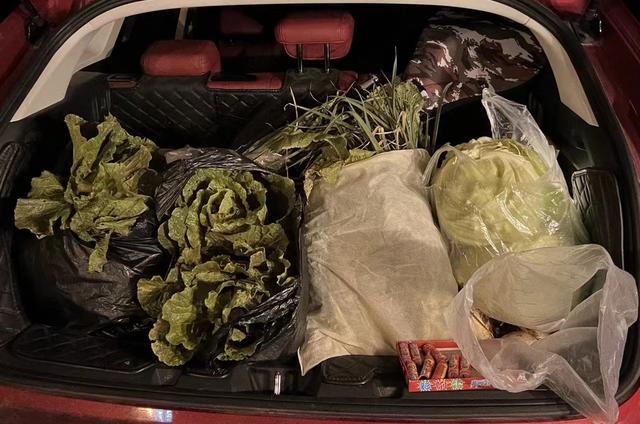 女子半夜偷菜赔2千,偷菜中毒赔偿标准?