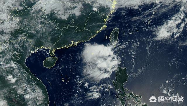 三台风胚胎来了,台风胚胎是怎么形成的？