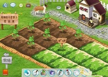 女子半夜偷菜赔2千,偷菜被毒死怎么赔偿?