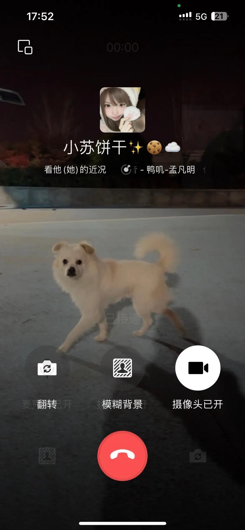 点拼好饭被骂狗饭,狗狗每次吃完都嗯嗯叫?