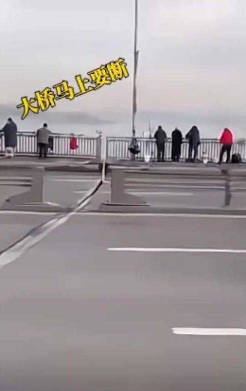 大桥绳索断裂致7死,为什么大桥上都有那么多绳子?