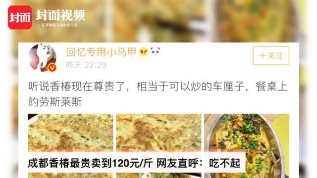 撞劳斯莱斯只赔200,餐桌上的“劳斯莱斯”,如何把200元一斤的香椿炒出大餐的味道?