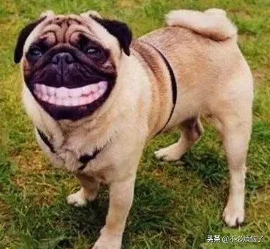 刷抖音刷出了个亲妈,妈妈喜欢刷抖音，如何劝说？