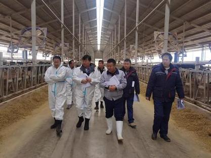 奶牛场发现6人死亡,1辆小货车载1头牛共重1吨1辆小货车载6头牛共重2吨每头牛重多少千克?