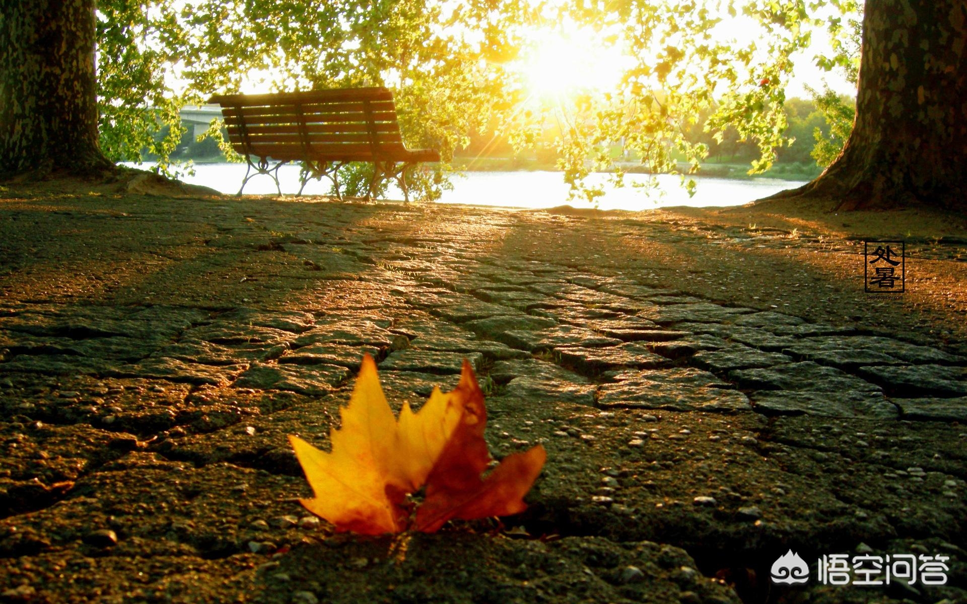 今天处暑,今天的处暑节什么时间开始？