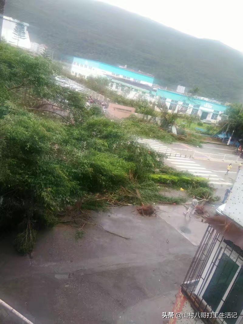 暴雨大暴雨台风来了,2022年郑州暴雨是台风带来的吗？