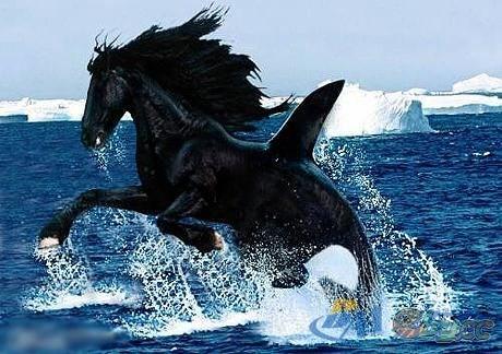 美国多地现变异动物,求一个美国电影，记得好像是一个洞里好多生物都变异了，两个人进去查？