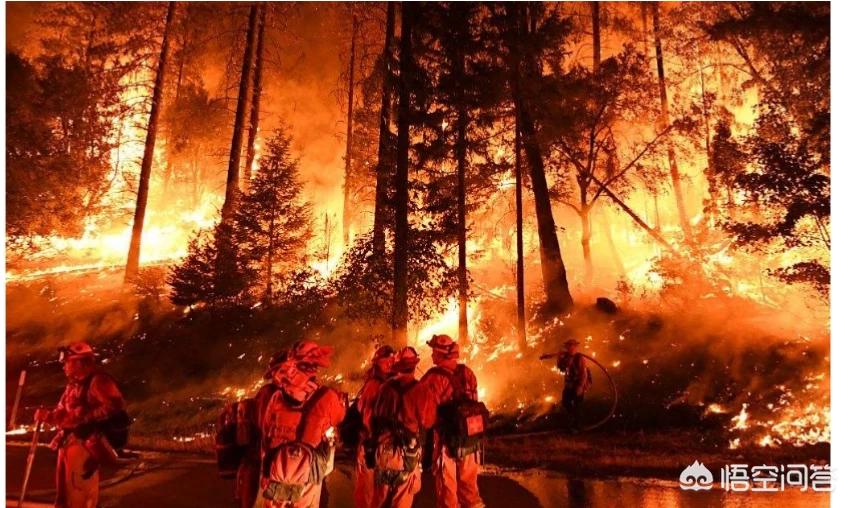 美国加州大火持续4天,2020加州大火哪天开始烧的？