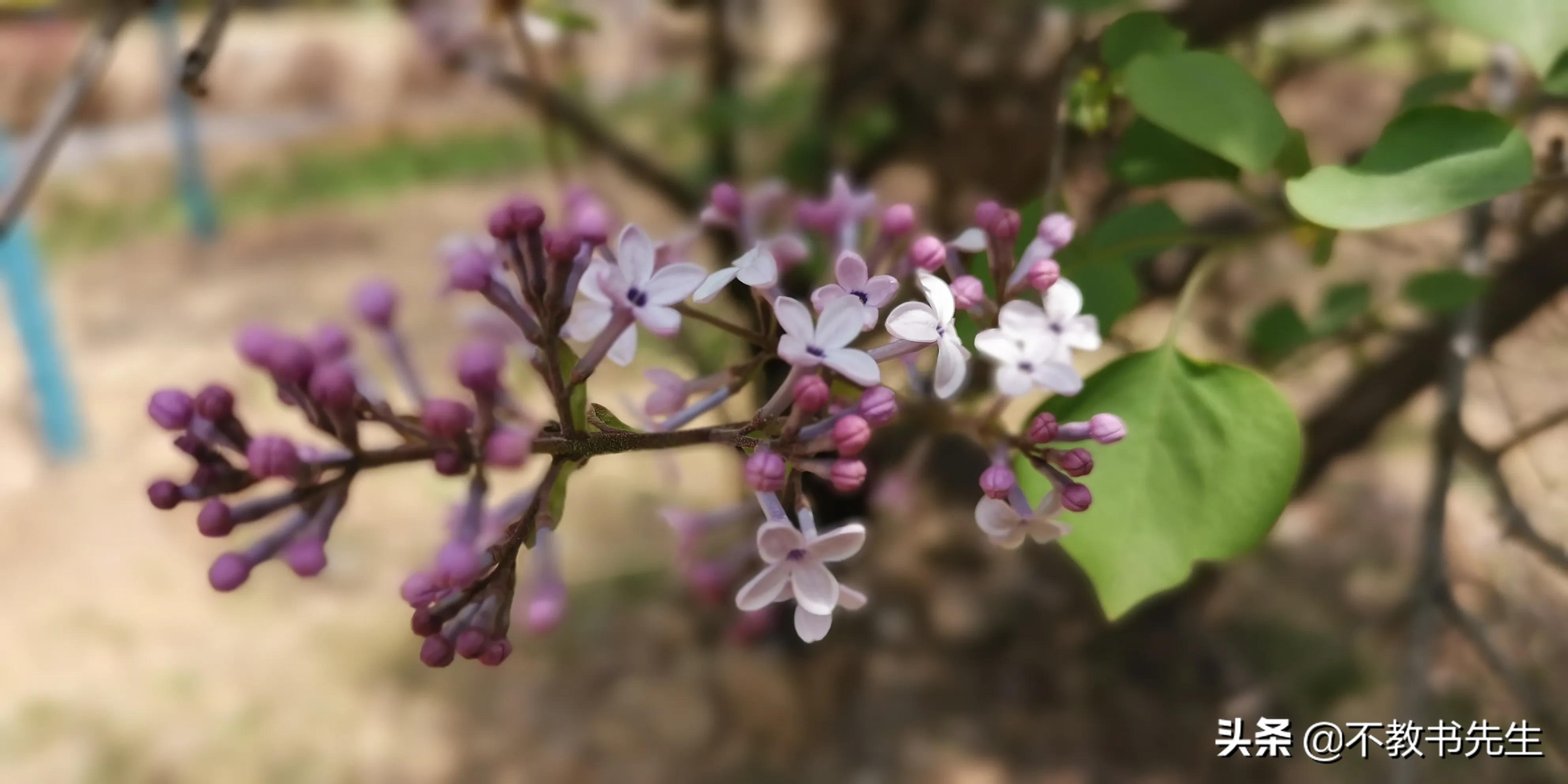 机构论斤造假出证书,施工建设单位私自造假施工许可证有什么法律依据吗? 机构论斤造假出证书,施工建设单位私自造假施工许可证有什么法律依据吗?