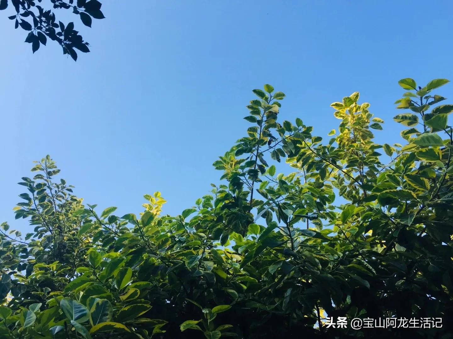 老太捡垃圾堆满小区,老太捡垃圾堆满小区的说说