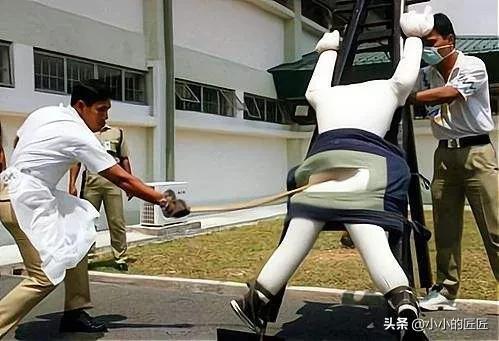 新加坡鞭刑,新加坡的死刑和鞭刑只针对男性犯人吗? 新加坡鞭刑,新加坡的死刑和鞭刑只针对男性犯人吗?