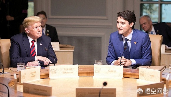 加拿大或派兵乌克兰,加拿大、澳大利亚、乌克兰算是国际上的政治三猪吗？