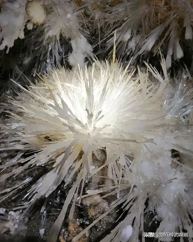 当街殴打出轨男女,温州女子遭丈夫公公当街暴打涂粪,女方家属:嫁妆200万,说她出轨是污蔑, 你怎么看? 当街殴打出轨男女,温州女子遭丈夫公公当街暴打涂粪,女方家属:嫁妆200万,说她出轨是污蔑, 你怎么看?