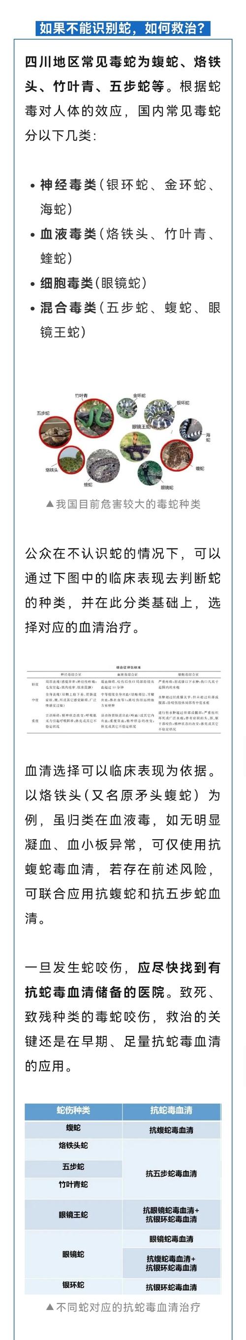 救助眼镜蛇反被咬伤,眼镜蛇被咬了有救吗