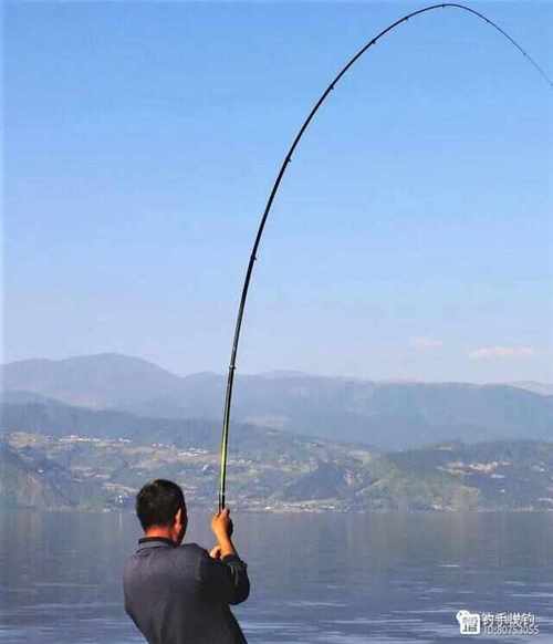 男子绑60斤鱼遛街,长竿短线怎么遛大鱼?
