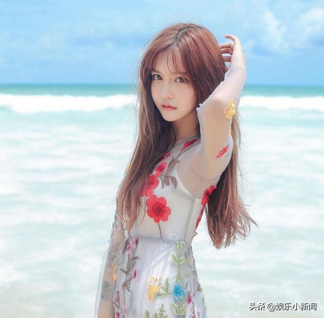 韩安冉又又又离婚,韩安冉真的是因为小猪家暴才离婚的吗？