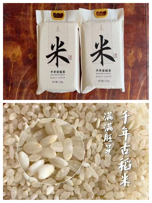 温州超级水稻2.1米高,温州地区水稻产两季吗?