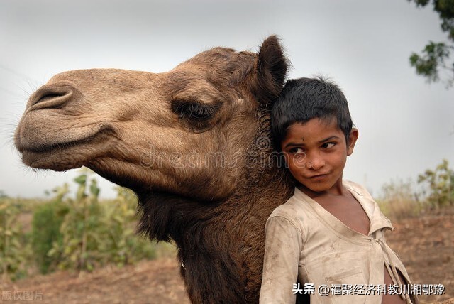 普京将在华会见莫迪,普京与莫迪透露结束战争意味着什么？