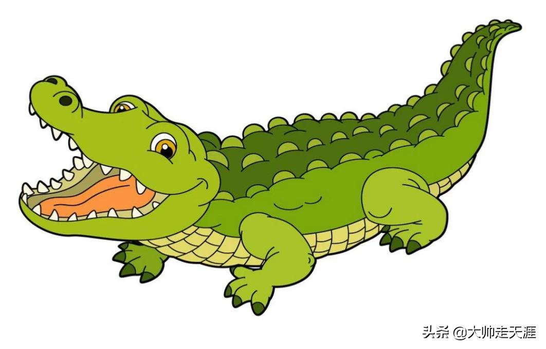 钓到鳄鱼拎进派出所,非凡的大多数怎么钓到鳄鱼仔? 钓到鳄鱼拎进派出所,非凡的大多数怎么钓到鳄鱼仔?