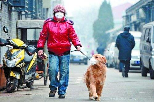 高铁上狂推前排座椅,高铁前面的小桌子怎么弄？