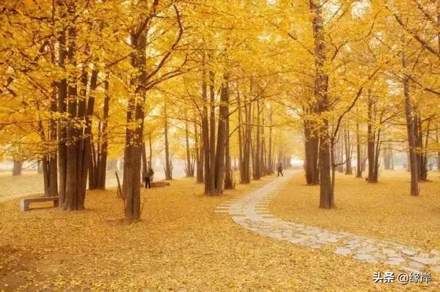 冷空气来袭北方入秋,今有冷空气南下，8日还有一波，杭州是否会入秋？