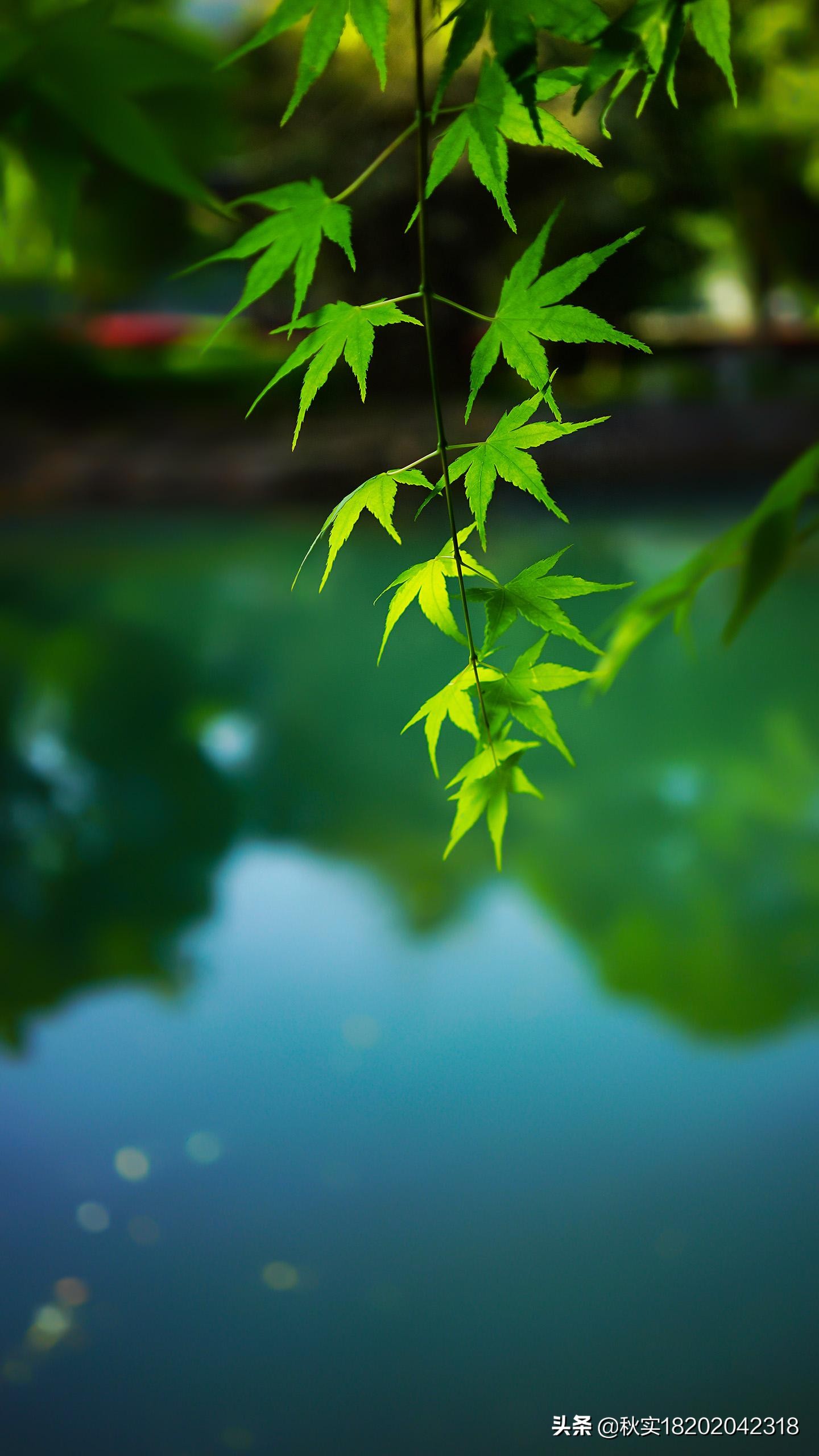 男子判死刑后再杀人,男子被判死刑在准备行刑时 男子判死刑后再杀人,男子被判死刑在准备行刑时