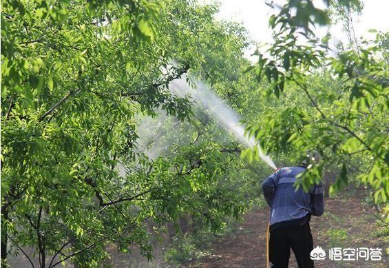 游客采食蘑菇中毒,游客采食蘑菇中毒怎么处理 游客采食蘑菇中毒,游客采食蘑菇中毒怎么处理