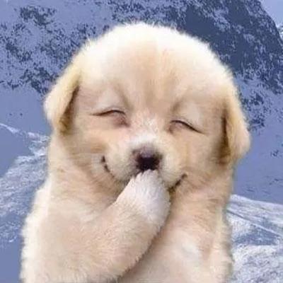 茅台股价重回1500元,如果茅台股价跌破1500元，有多少会买？